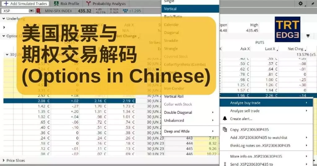 Options in Chinese